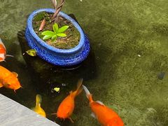 -漫笙舍Manse·咖啡·民宿
