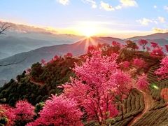 -无量山自然风景保护区