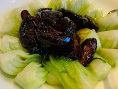 冬菇菜心-上海和平饭店龙凤厅 Dragon Phoenix