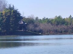 -上海海湾国家森林公园