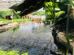 -晶宝温泉农庄