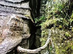 -梭布垭石林景区