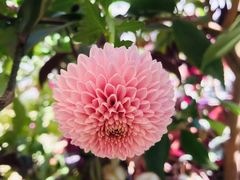 -长沙滨江文化园