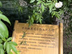 -关中书院
