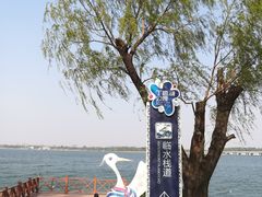 -丁香湖公园