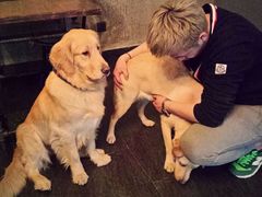 android_upload_pic-百好乐宠物友好餐厅(朝外大街店)