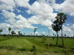 -柬埔寨国家博物馆