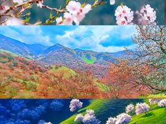 -伊犁河风景区