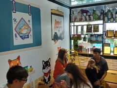 -柴犬高等学院·狗咖·柴犬售卖·宠物训练