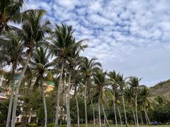 -三亚亚龙湾金棕榈度假酒店