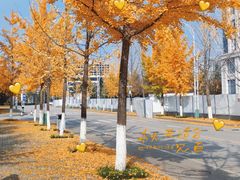 -西安外国语大学(长安校区)