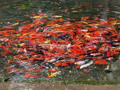 -水磨沟公园