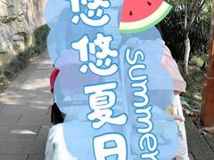 -重庆彩云湖湿地公园
