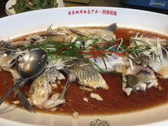 -丹江渔村(望京店)