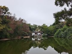 -深圳国际园林花卉博览园