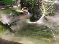 -邛海景风火盆烧烤(大石板古村二分店)