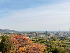 -白水寺森林公园