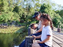 -铁山坪森林公园