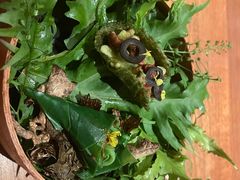 -天水蔬食料理(树德之光店)