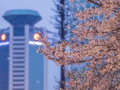 -西北湖绿化广场