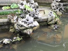 -普陀山风景名胜区-法雨禅寺