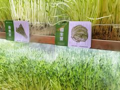 -串一火锅(赛格国际购物中心店)