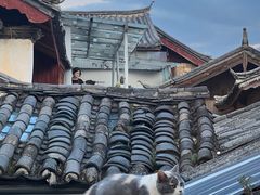 -小厨子私房菜·云南美食店