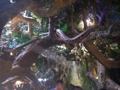 -多彩贵州城极地海洋世界