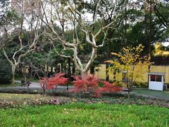 -徐家汇源景区-衡山公园
