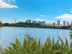 -长白岛森林公园