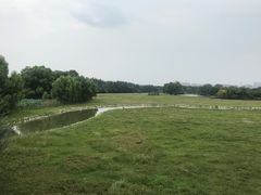 -北京麋鹿生态实验中心