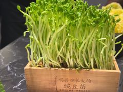 -巴蜀大将火锅(春熙店)