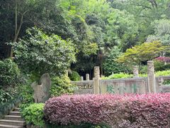 -十八棵（老龙井）御茶园(老龙井店)