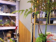 -森味薪火烧•烧鸟居酒屋•日本料理(望京店)