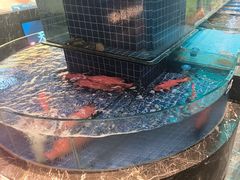 -望海湾海鲜楼·海鲜(河南路店)
