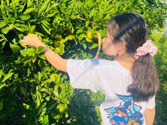 -前小桔亲子创意农场·草莓采摘·露营烧烤