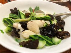 -顺德了能馆(虎门店)