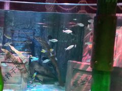 -沈阳海洋探索中心