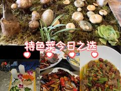 -福照楼汽锅鸡·云南菜(万达广场店)