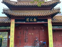 -桃花堤公园
