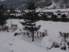 android_upload_pic-雪谷