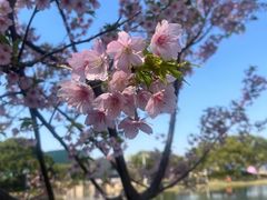 -新江湾城公园