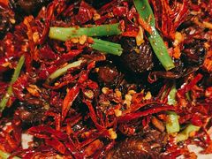 -杨氏青龙虾·羊蝎子(托乐嘉店)