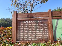-狐尾山公园