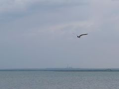 -红碱淖景区