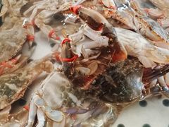 -孙家码头海鲜自助美食城
