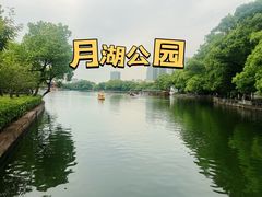 -月湖公园