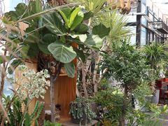 -北马山庄植趣咖啡