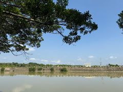 -大湾区中央湿地公园
