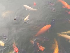 -成都动物园